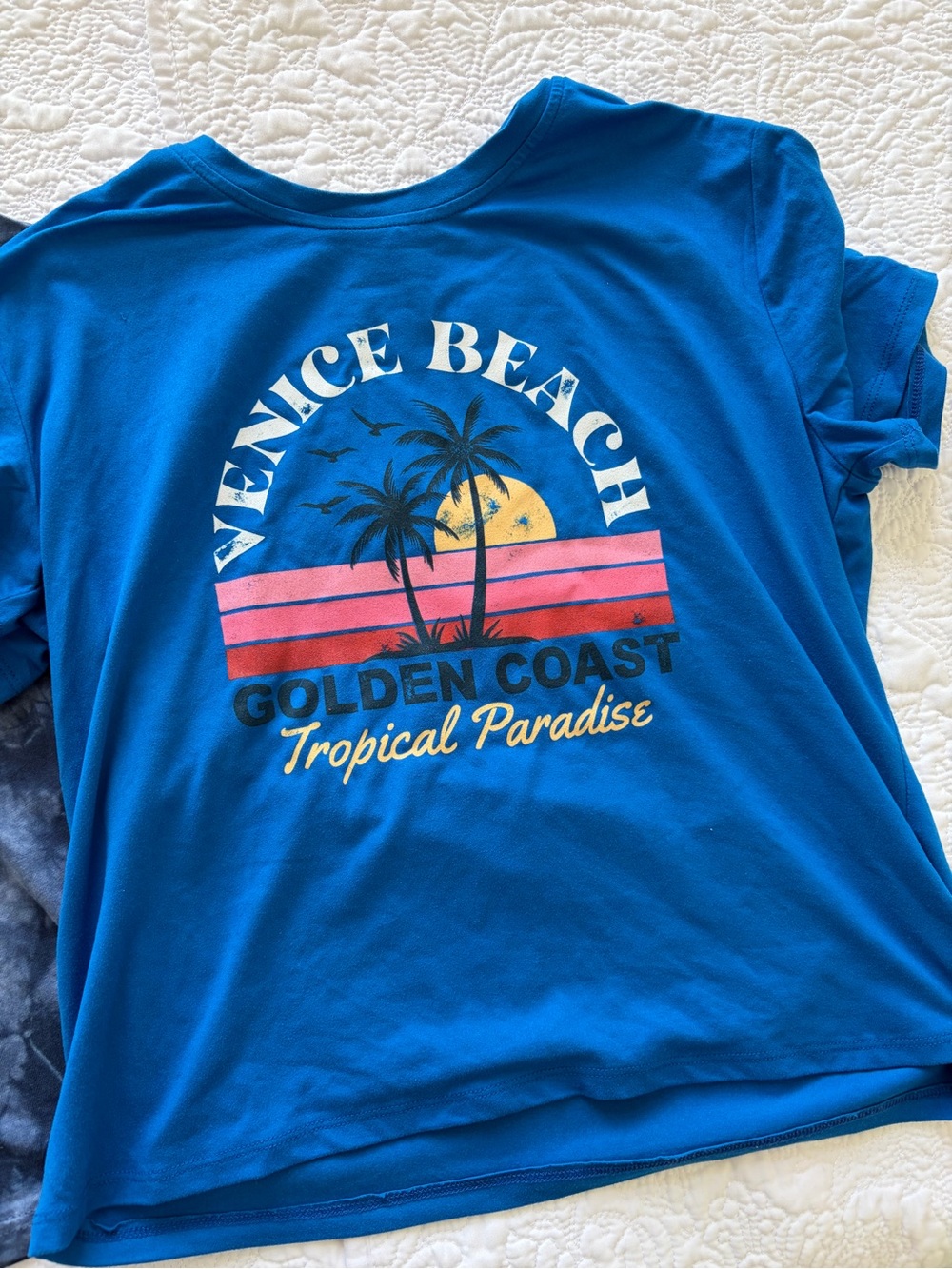 Venice Beach Tropical Paradise Graphic Tee - Blue